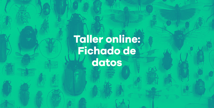 VIII Taller online de Fichado de datos para técnicos de colecciones de historia natural