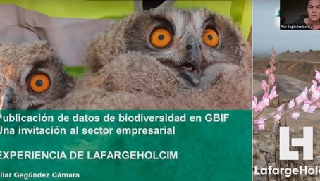 Experiencia de LafargeHolcim España como empresa publicadora de datos a través de GBIF - Pilar Gegúndez (LafargeHolcim España)