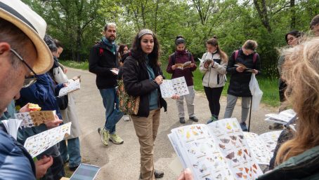 Práctica en campo: Cristina González Sevilleja (SOCEME)